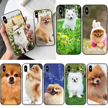 Чехол для телефона DUQQ Pomeranian dogs для iPhone 12 Mini 11 Pro XS Max X XR 7 8 Plus